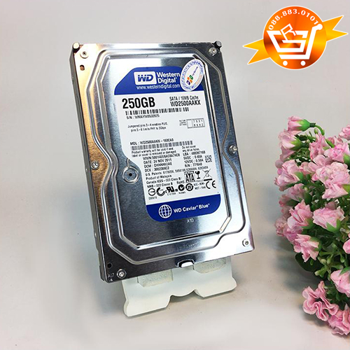 ổ cứng 250gb